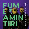 Download track Fumez Amintiri (Disco Biscuit & Mentol Remix)