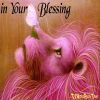 Download track Blessed Way Calming