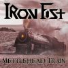 Download track Mettlehead Train