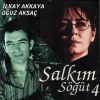 Download track Sandık Sandığa Dayalı