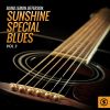 Download track Sunshine Special