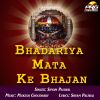 Download track Bhadariya Maiyya Gavu