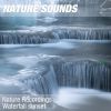 Download track Nature Sounds For Study, Focus & Learning (Lovely Waterfall) 20