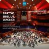 Download track Suite No. 1, BB 39, Op. 3 (Sz. 31) - I. Allegro Vivace