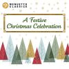 Download track Christmas Oratorio In G Major, BWV 248, Pt. II: No. 10. Sinfonia