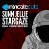 Download track Stargaze (Cosmonaut Remix)