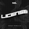 Download track Licence (Cellardore Dub Mix)