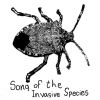 Download track Introduction Of A Species