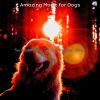 Download track Subdued Training Dogs