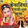 Download track Kesariya Hazari Gulro Phool