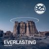 Download track Everlasting (Radio Edit)