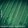 Download track Calming Dusk Ambience - Amazon Rainforest, Pt. 14