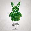 Download track Bronz