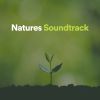 Download track Natures Stream