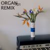 Download track Organ 101 (Remix)