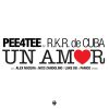 Download track Un Amor (Alex Nocera & Nico Zandolino Remix)