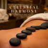 Download track Ambient Massage Music