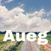 Download track Auegout