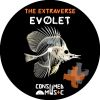 Download track Evolet (Original Mix)