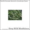 Download track Deep Sleep With Sound Therapy And Mental Tranquility