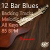 Download track 12 Bar Blues Drum Backing Track In A Melodic Minor 85 BPM, Vol. 1