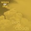 Download track Bed Of Clouds