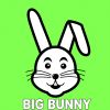 Download track Her (Big Bunny Remix)