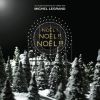 Download track Wainwright Iggy Pop - Noel D’espoir