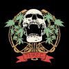 Download track Red Sun Devils Lettuce