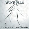 Download track Shape In The Snow (Vocal Mix)