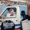 Download track French Poodle