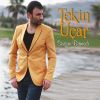 Download track Bişey De