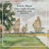 Download track Sonata For Violin And Piano In E Flat Major: IV. Finale. Adagio – Presto