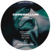 Download track Gamma Concept (Original Mix)