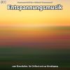 Download track Entspannungsmusik Teil 12