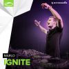 Download track Ignite (Original Mix)