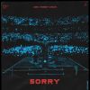 Download track Sorry (Albert Vishi Remix)