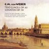 Download track Violin Sonata No. 6 In C Major, Op. 10b No. 6, J. 104: II. Largo - Polacca