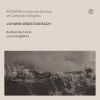 Download track Sonata In D Major BWV 1028 A Viola Da Gamba Et Cembalo Obligato Allegro