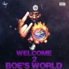 Download track Welcome 2 Boe's World