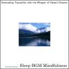 Download track Unraveling Stress With Sound Healing And Deep Breathing