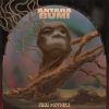 Download track Astral Ritual