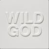 Download track Wild God