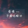 Download track 爱情不相信眼泪 (伴奏版)