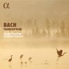 Download track 15. Violin Sonata In C Minor, BWV 1017 I. Siciliano. Largo (Transcr. For Recorder And Harpsichord By Julien Martin And Olivier Fortin)