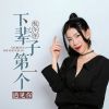 Download track 下辈子第一个遇见你 (DJ沈念版)