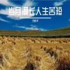 Download track 三五成群的人不一定快乐