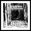 Download track Drag The River