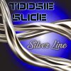 Download track Toosie Slide