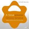 Download track Groovy Groove (Tech Organ Dub Zone)